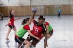 Handball SG Süd/Blumenau Archiv - Verpatzter Saisonabschluss in Kirchheim